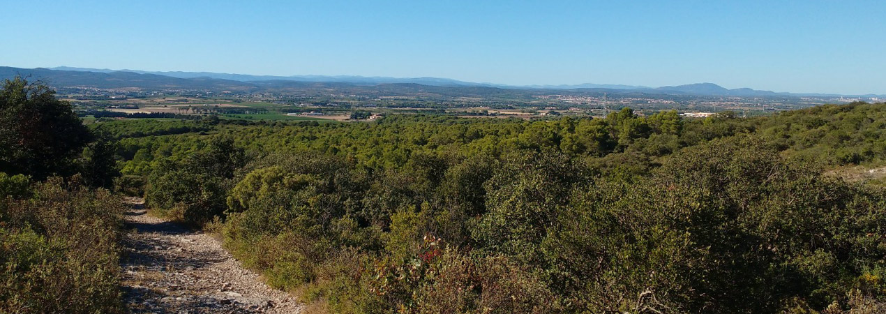 massif de la gardiole