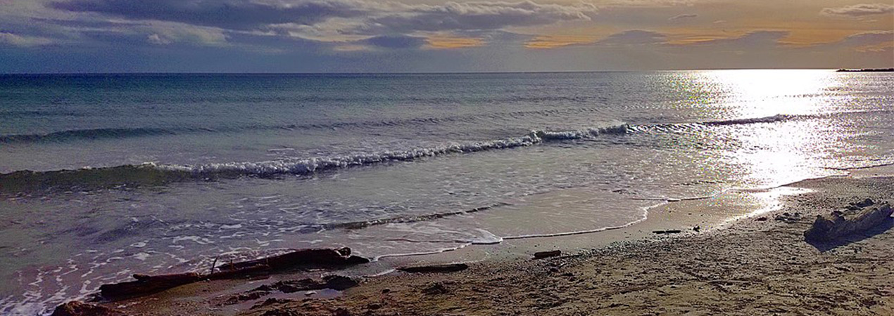 plage des aresquiers