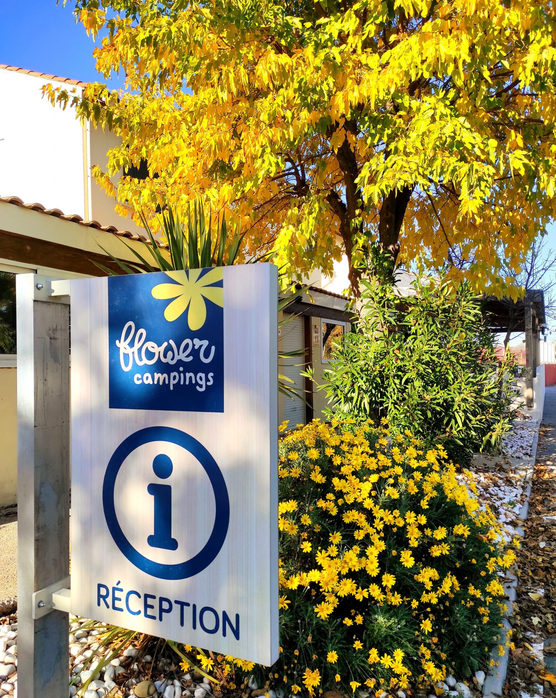 camping ecologique herault