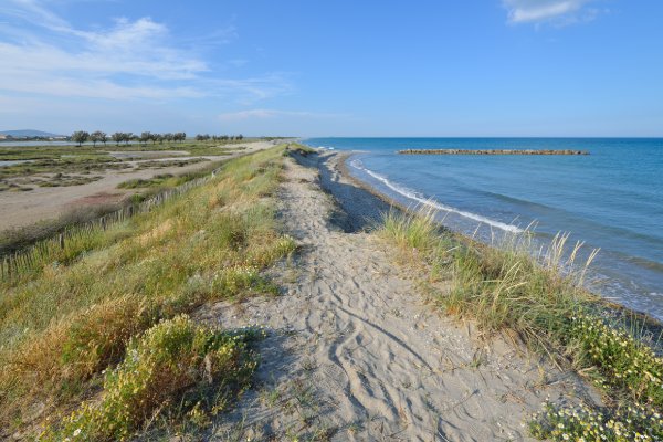 camping proche frontignan